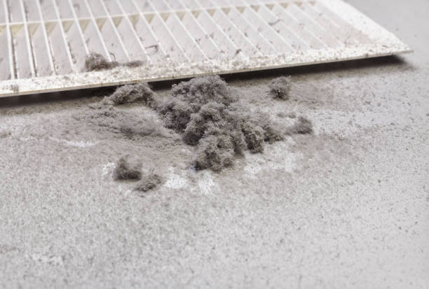 Best Ventilation Cleaning Services  in Fabens, TX