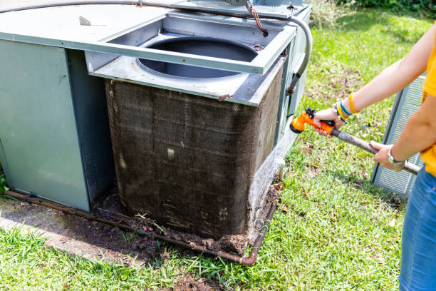 Best Professional Duct Cleaning Services  in Fabens, TX