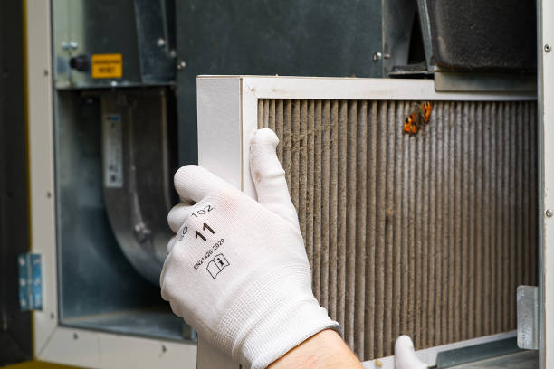 Best Ductwork Cleaning Services  in Fabens, TX